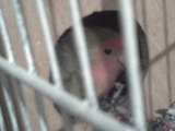 DSC00827.JPG